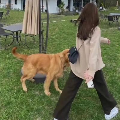 圈子之德州风云